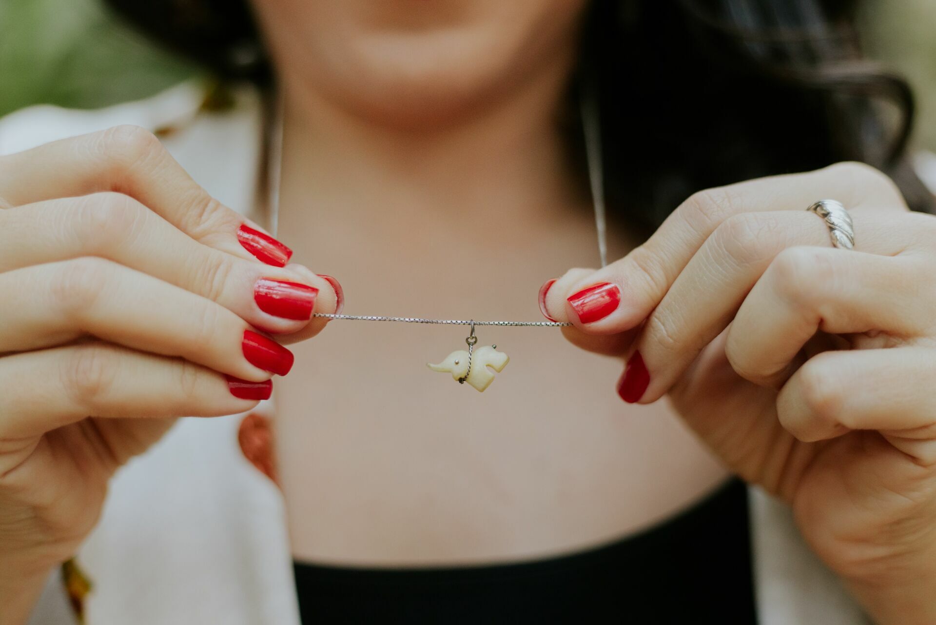 Foto memória de elefante  - Imagem 1