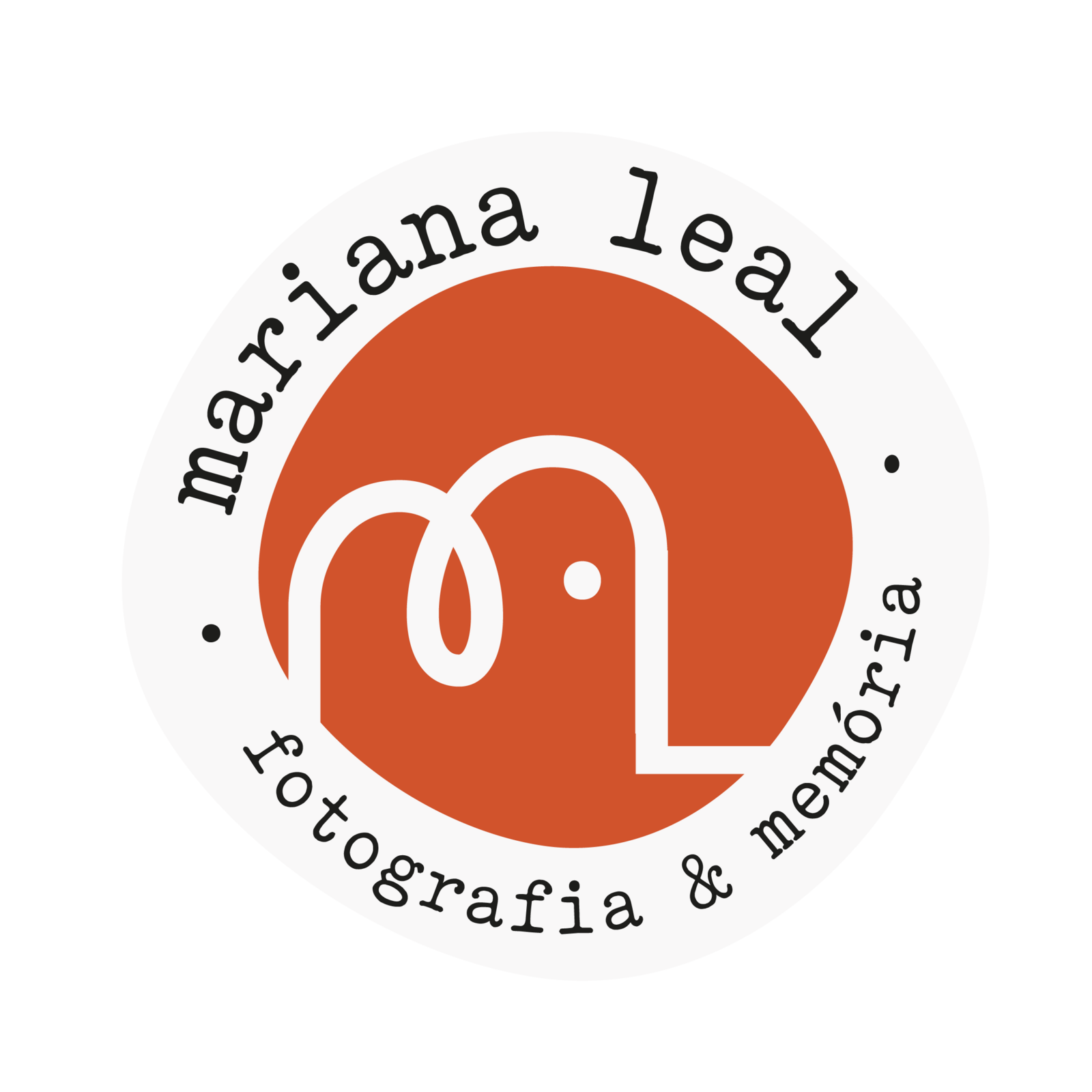 Foto memória de elefante  - Imagem 2